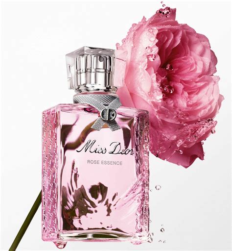 rosa miss dior